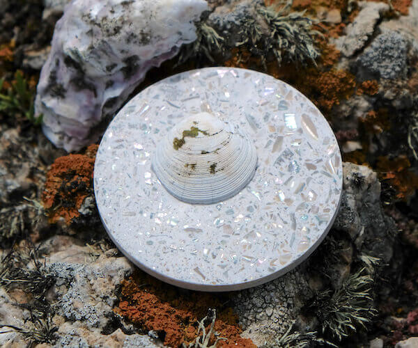 dessous de verre coquillages home malakio