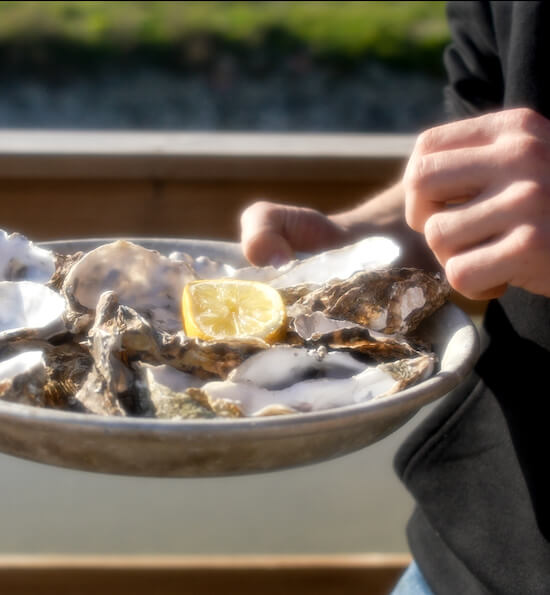 photo malakio histoire assiette huitre objets design coquillages recycles