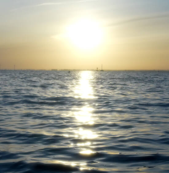 photo malakio histoire aventure continue objets design coquillages recycles