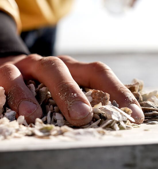 photo malakio histoire demenagement nantes objets design coquillages recycles