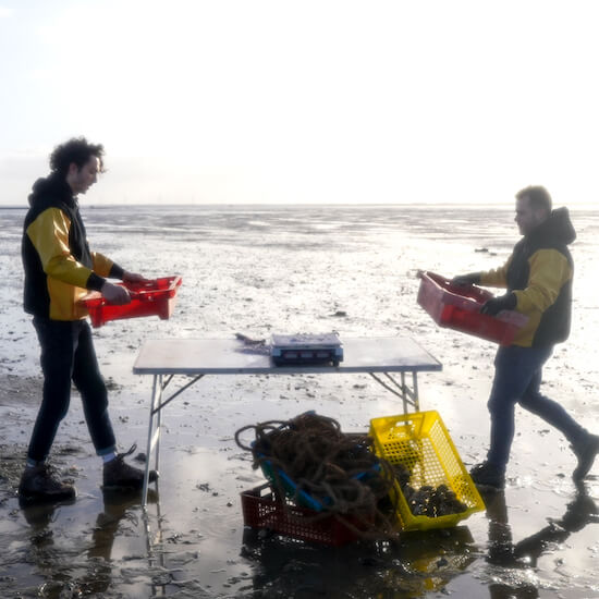 photo malakio histoire morgan hugo objets design coquillages recycles