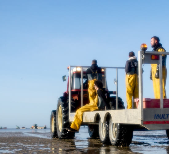 photo malakio histoire ostreiculture objets design coquillages recycles