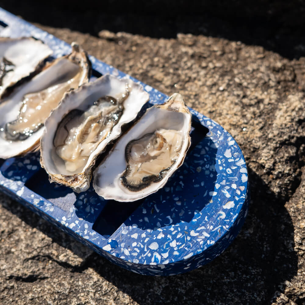 plateau a huitres helios la demi-douzaine bleu coquillages recycles malakio