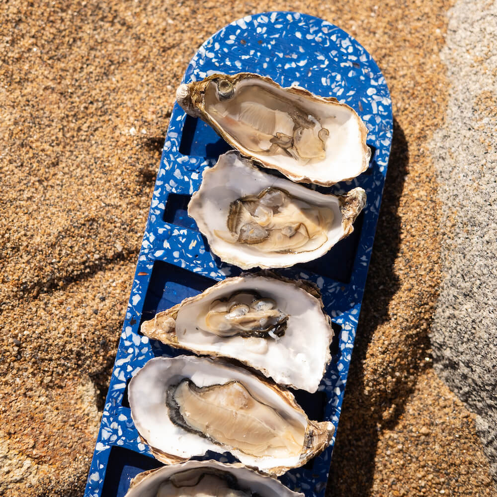 plateau a huitres helios la demi-douzaine bleu coquillages recycles malakio