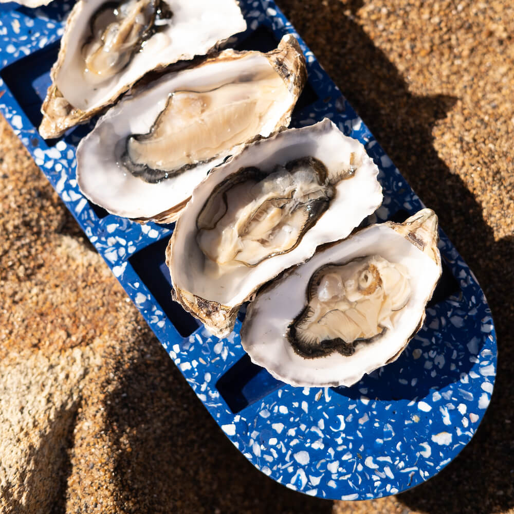 plateau a huitres helios la demi-douzaine bleu coquillages recycles malakio