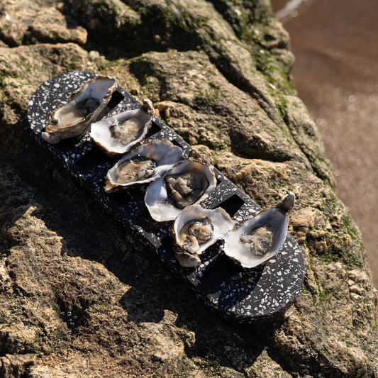 plateau a huitres helios la demi-douzaine noir coquillages recycles malakio