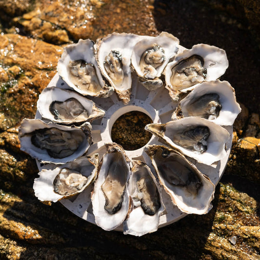 plateau a huitres helios la douzaine blanc mixte coquillages recycles malakio