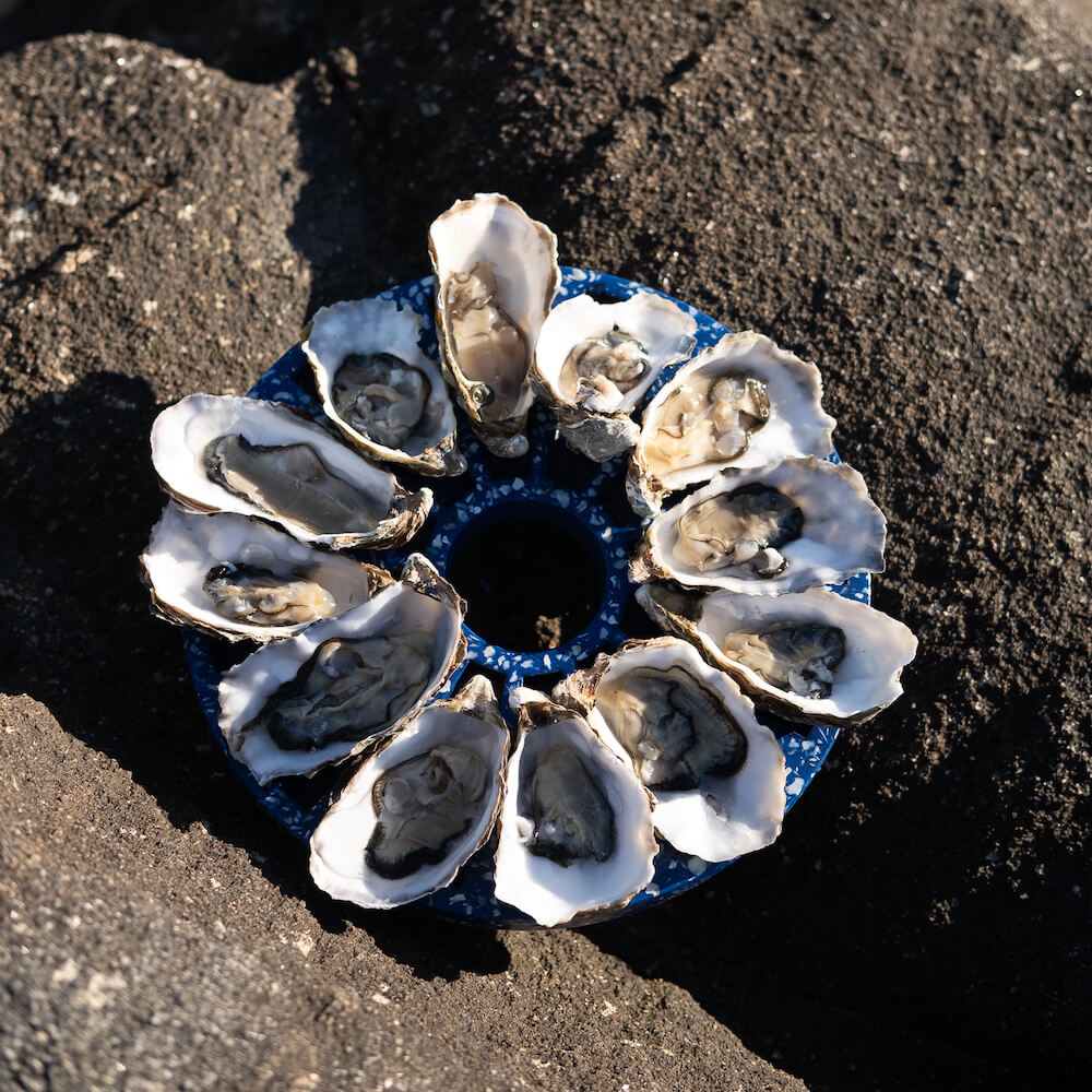 plateau a huitres helios la douzaine bleu coquillages recycles malakio