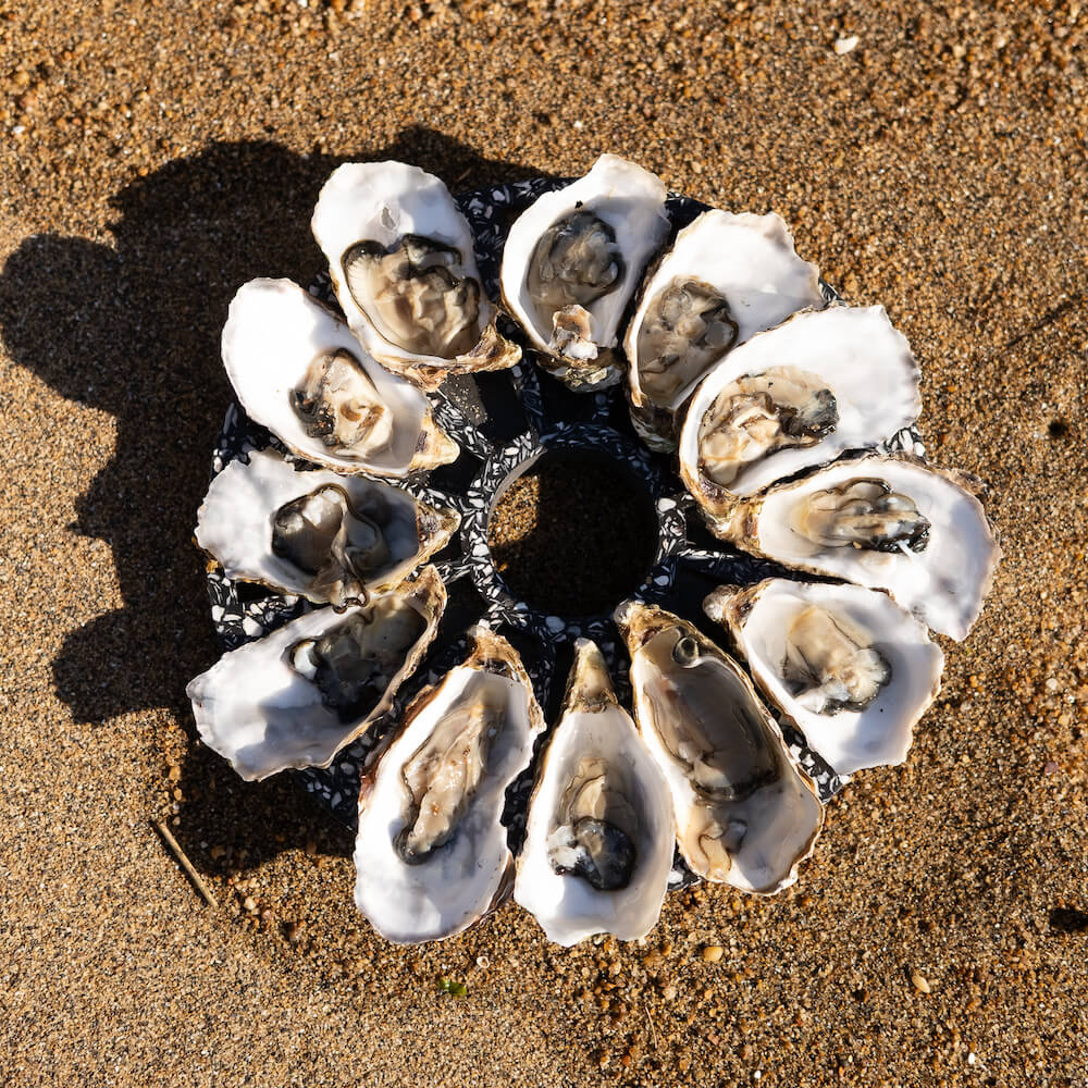 plateau a huitres helios la douzaine noir coquillages recycles malakio