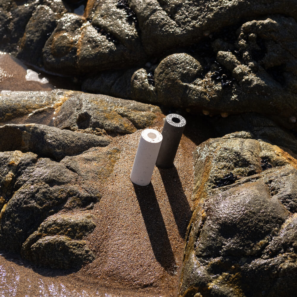 soliflore colosse blanc mixte coquillages recycles malakio