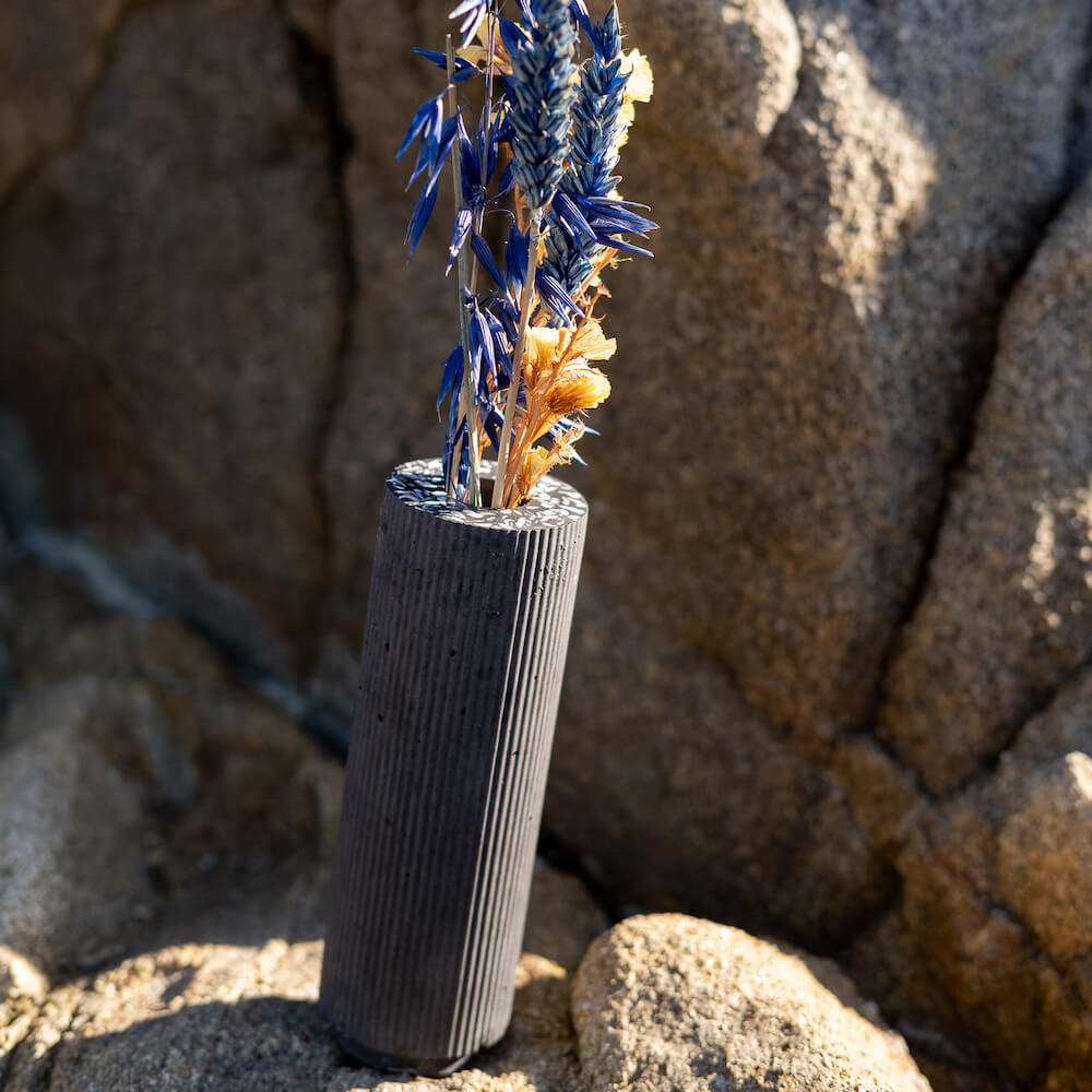 soliflore colosse noir coquillages recycles malakio