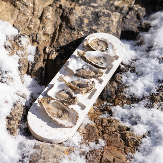 plateau a huitres helios la demi-douzaine blanc coquillages recycles malakio hiver