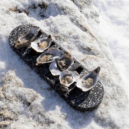 plateau a huitres helios la demi-douzaine noir coquillages recycles malakio hiver