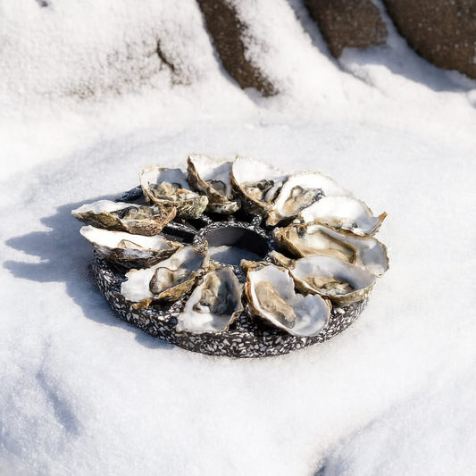 plateau a huitres helios la douzaine noir coquillages recycles malakio hiver